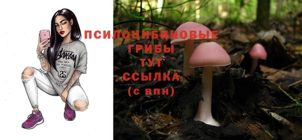 apvp Богородск