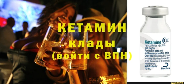 индика Бородино