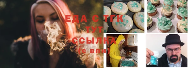 ECSTASY Богданович