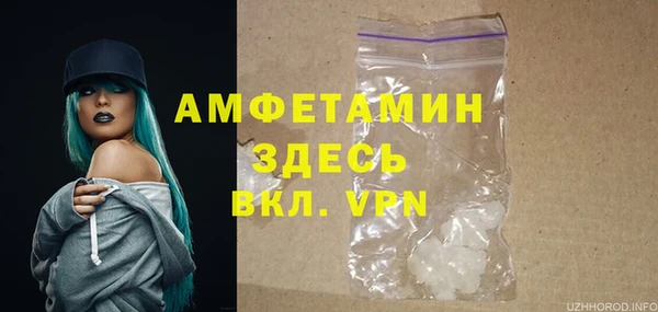 индика Бородино