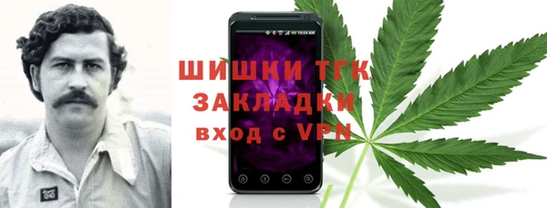 ECSTASY Богданович