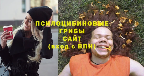 ECSTASY Богданович