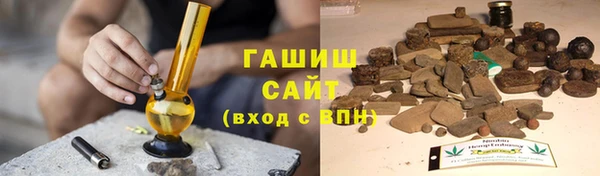 индика Бородино