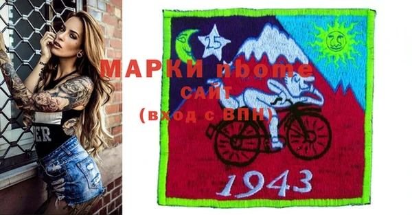 индика Бородино