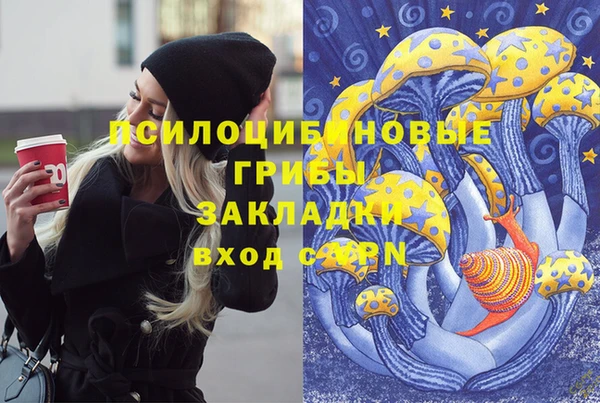 ECSTASY Богданович
