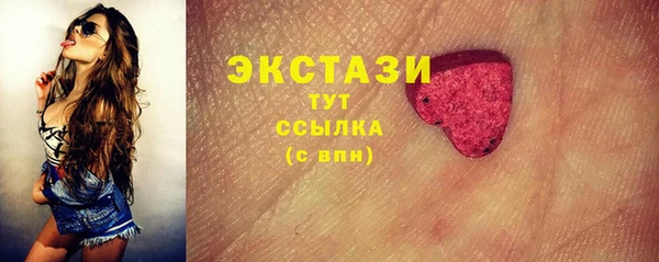 ECSTASY Богданович