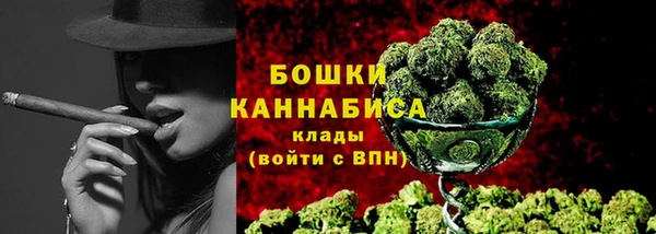 ECSTASY Богданович